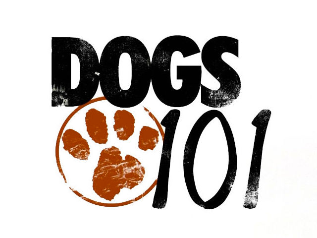 dogs 101 show