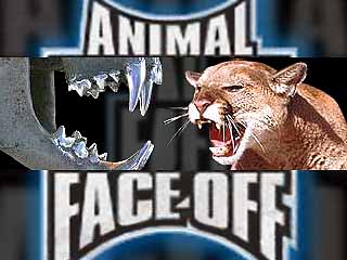 Animal Face-Off (a Titles & Air Dates Guide)